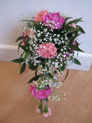 Spray_pink_and_purple_carnations.JPG